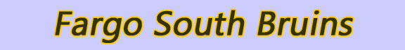 Bruins banner