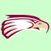 Link to Fargo Davies girls' soccer page