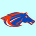 Link to West Fargo Sheyenne girls' tennis page